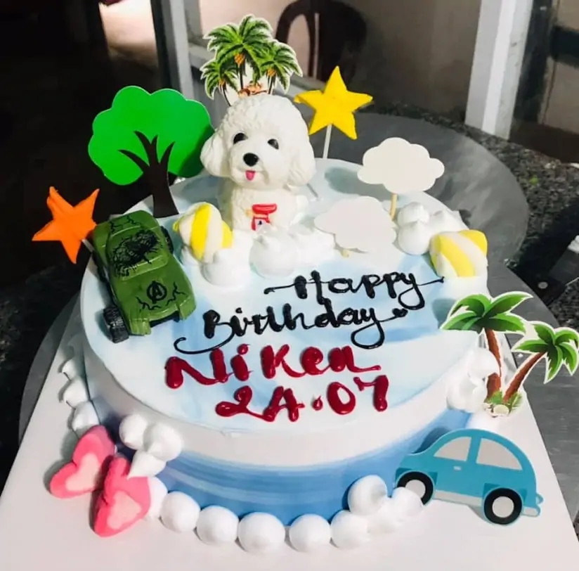 banh kem hinh chu cho con va xe hoi