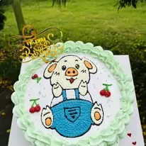 banhkemvehinhconhinhmau6