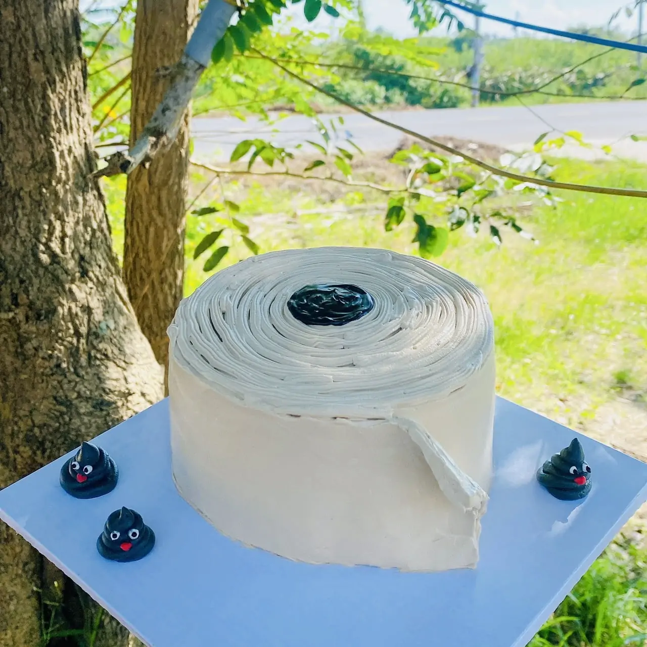 Mẫu bánh kem cuộn giấy vệ sinh ngộ nghĩnh của Hosana Cakes là lựa chọn độc đáo và thú vị cho những ai muốn tạo bất ngờ cho người nhận. Bánh được trang trí với mô hình cuộn giấy vệ sinh được làm từ fondant hoặc kem tươi, tạo nên sự hài hước và ấn tượng.