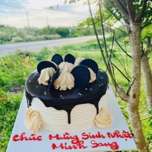 banhkemsinhnhatsocoladongian