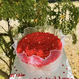 banhkemsinhnhathoaquanvoan