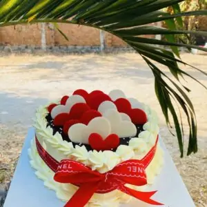 banhkemsinhnhatsocolatrangtritim