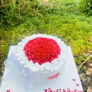 banhkemsinhnhattrangtrihoahonglonglay